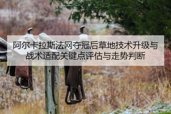 a-er-ka-la-si-fa-wang-duo-guan-hou-cao-di-ji-shu-sheng-ji-yu-zhan-shu-shi-pei-guan-jian-dian-ping-gu-yu-zou-shi-pan-duan-2-946.jpg