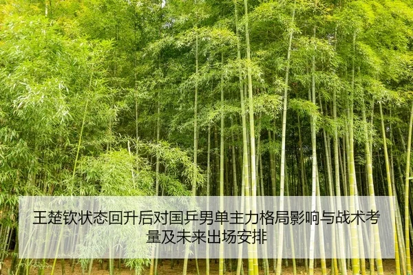 wang-chu-qin-zhuang-tai-hui-sheng-hou-dui-guo-ping-nan-dan-zhu-li-ge-ju-ying-xiang-yu-zhan-shu-kao-liang-ji-wei-lai-chu-2-347.jpg